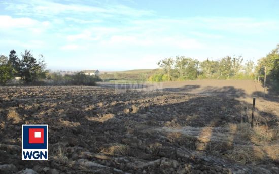 Działka budowlana na sprzedaż Dzierzgoń, Tywęzy
